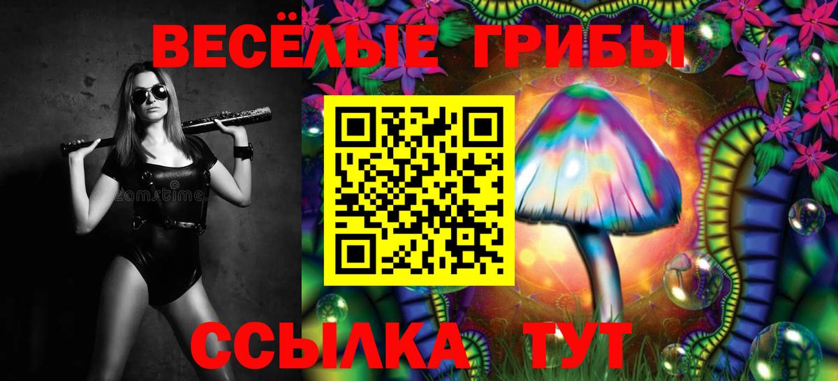Глазов  Галлюциногенные грибы GOLDEN TEACHER  Вход с VPN 